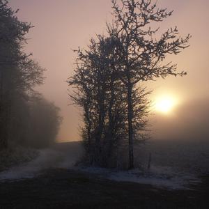 爆乳女教师一区二区三区吊视频
